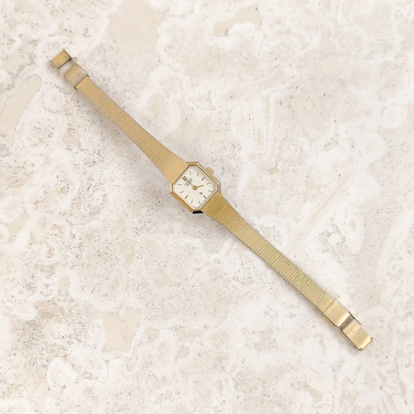 Citizen Vintage Saat